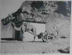 ���� ������ ��� ��� ����